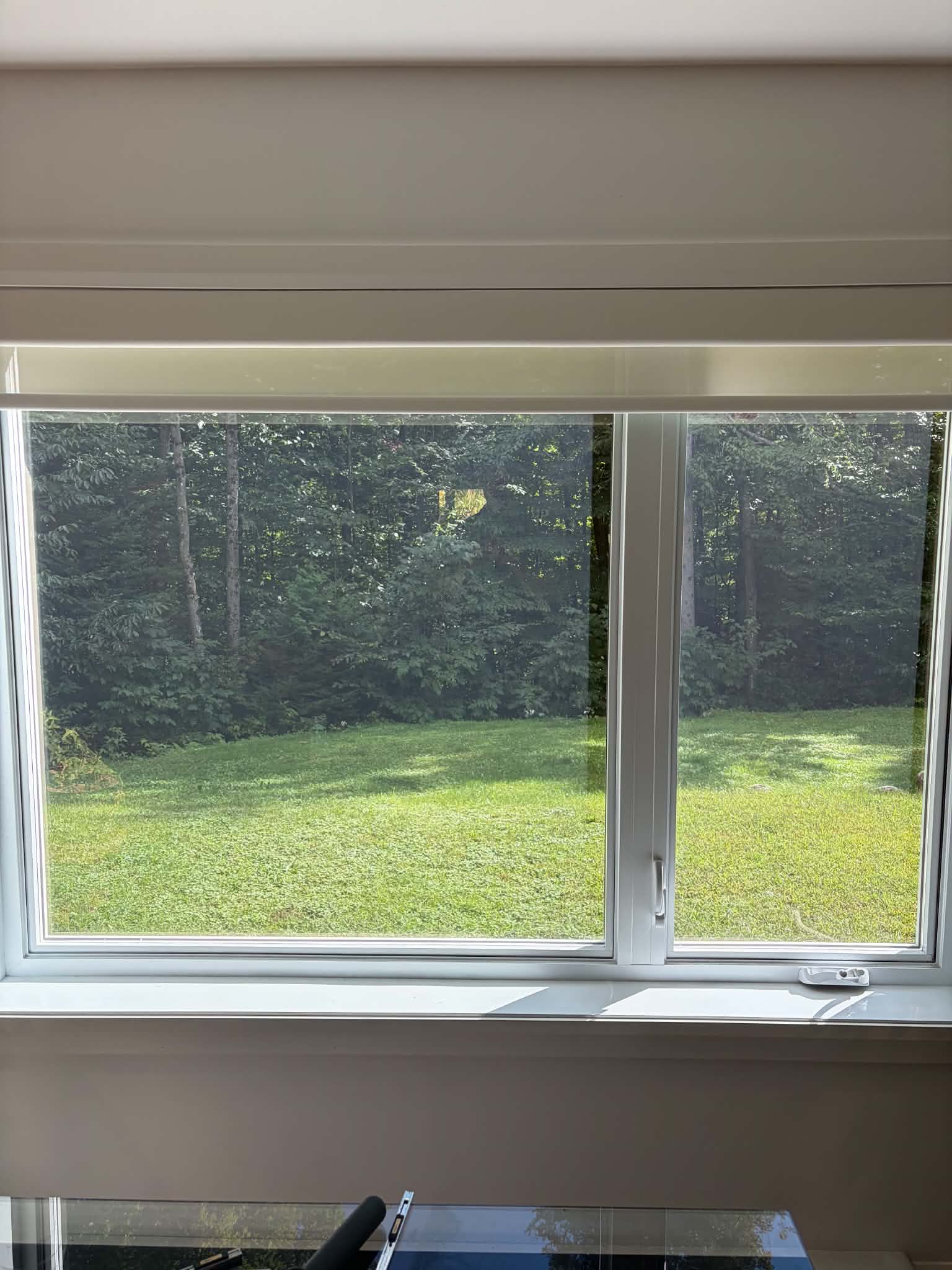 Vue intérieure sur la forêt
